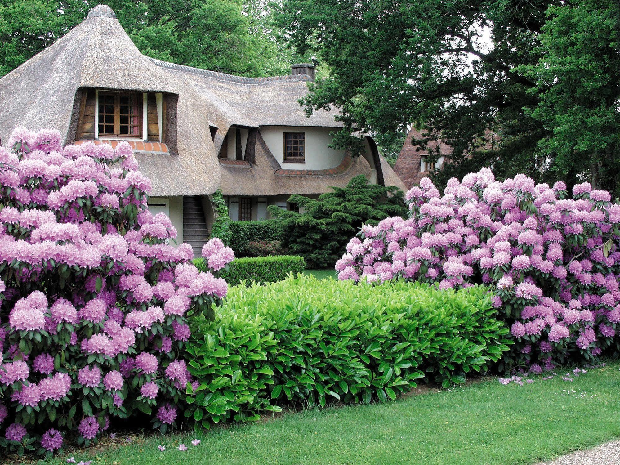 Auberge Des Templiers Boismorand Екстер'єр фото